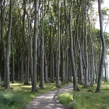 شقة Gesine 4 Mare Baltic *