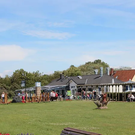 Gesine 4 Mare Baltic أوستسيباد نينهاجن